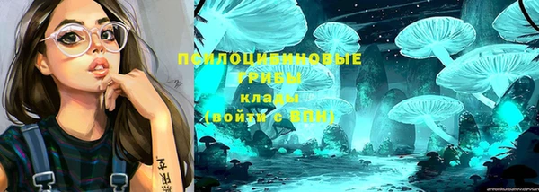 скорость Осташков