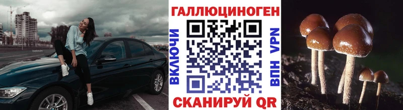 Галлюциногенные грибы Psilocybe  Петров Вал 